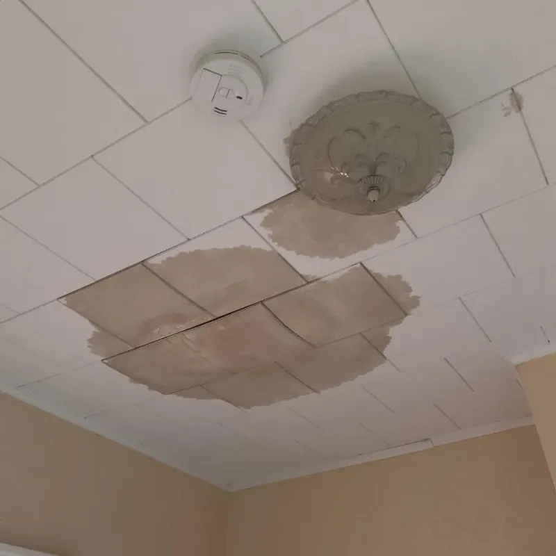 Ceiling Water Damage Repair in McDonald, OH