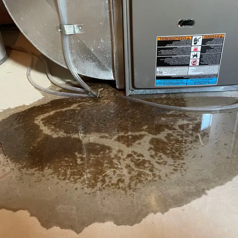 Pipe Burst and Leak Restoration in McDonald, OH