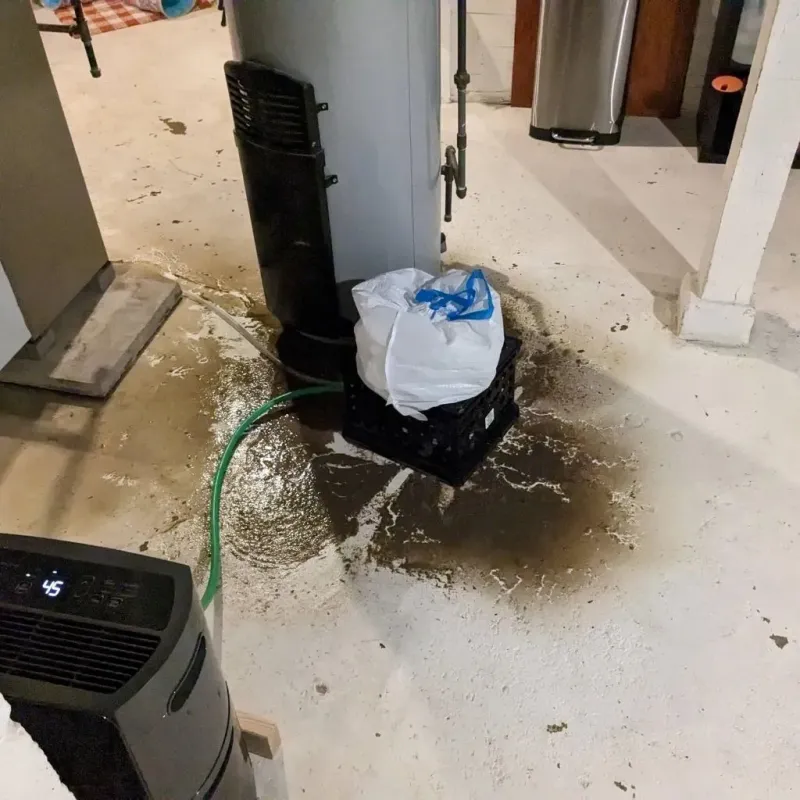 Sewage Backup Cleanup Service in McDonald, OH